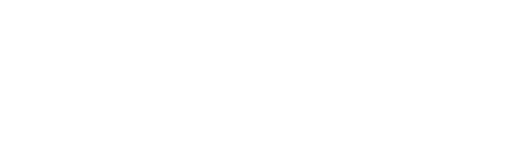 STV GROUP